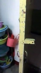 Le grincement d'une porte qui vibre ressemble à un rire diabolique.