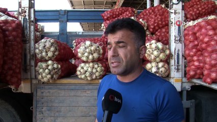Cep yakan soğanın fiyatı 75 kuruşa kadar düştü