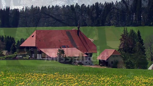 Die Fallers - Folge 972 - Missglückt (29.04.2018)