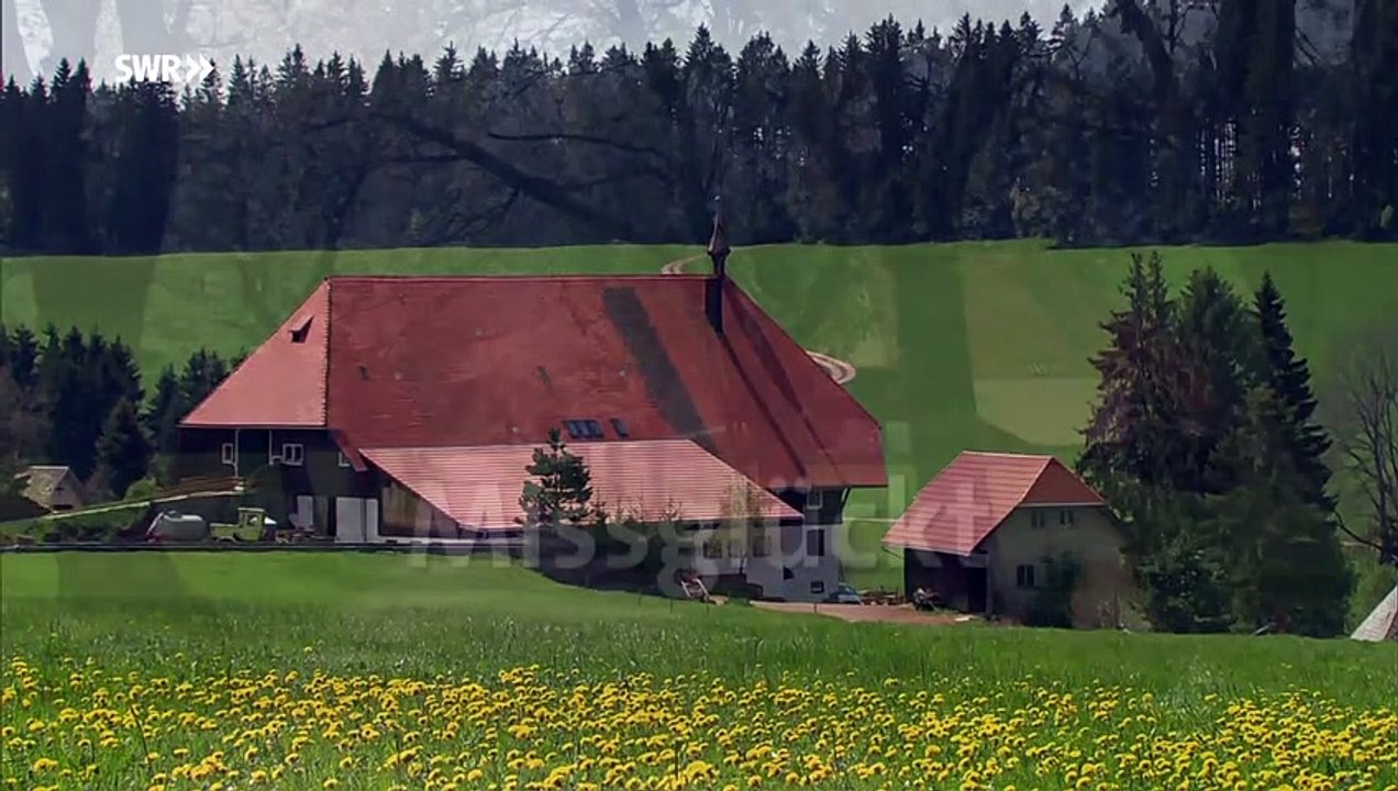 Die Fallers - Folge 972 - Missglückt (29.04.2018)