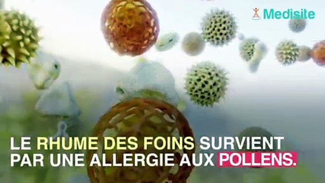 Il parvient à soigner son rhume des foins grâce aux orties