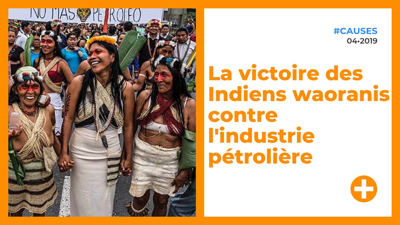 En Équateur, la victoire des Indiens waoranis contre l'industrie pétrolière