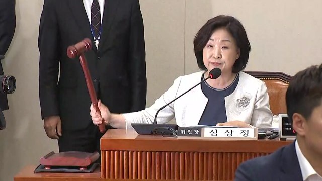 [속보] 정개특위, 선거제 패스트트랙 지정 / YTN