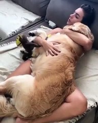 Adorable ! Cette femme câline son chien malade.