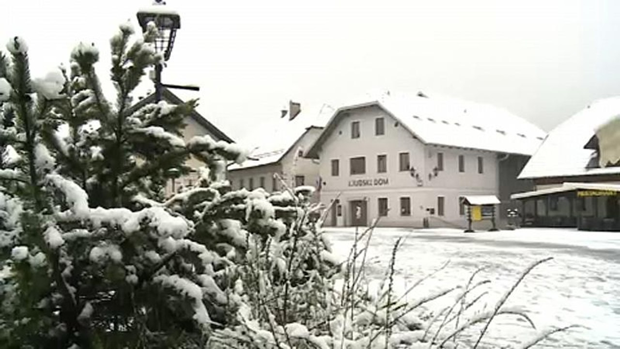 Slowenien: Tulpen im Eismantel