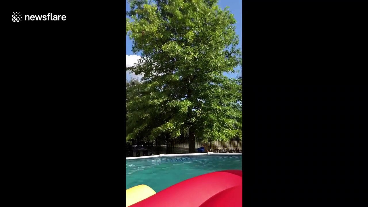 Chicago grandma spends whole summer slipping off pool floats