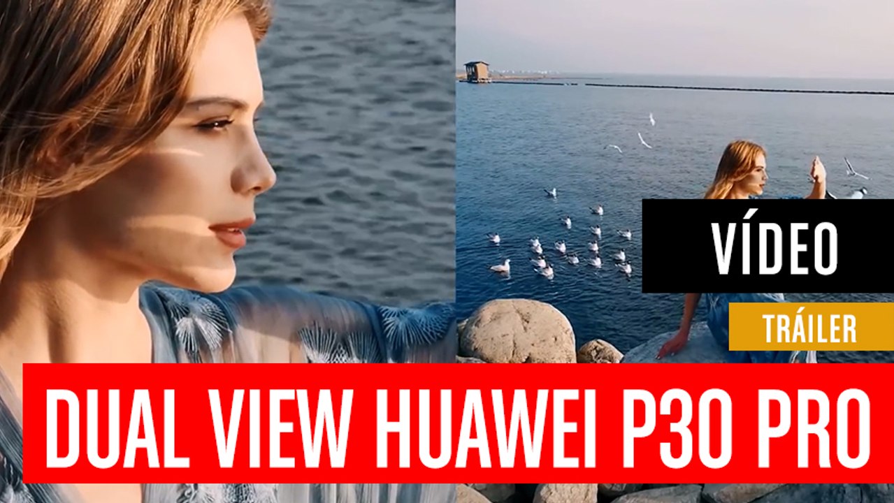Huawei P30 Pro Dual-View
