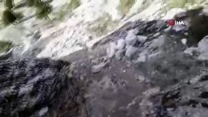 Define avcılarına operasyon: 4 gözaltı