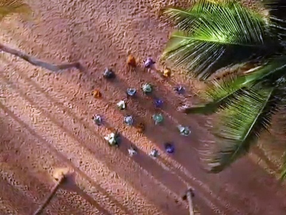 La femme africaine est la plus belle au monde. Admirez ces belles dames !