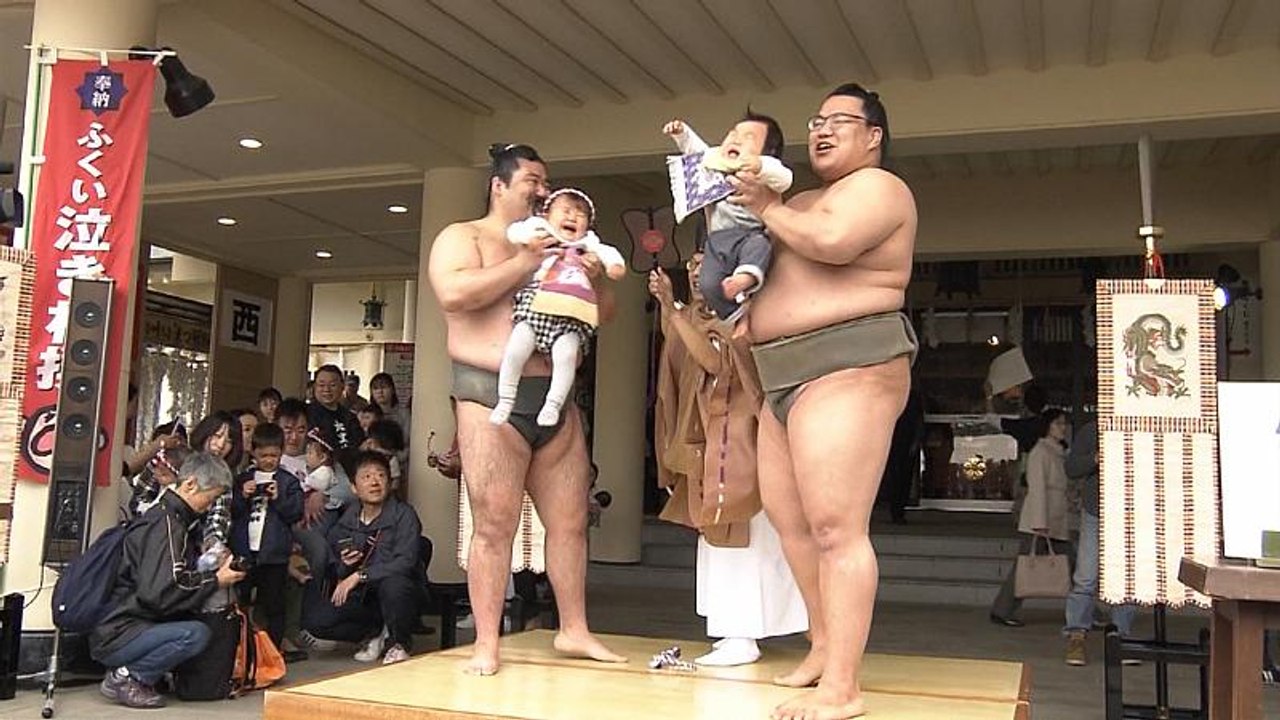 Concurso de sumo para bebés en Japón