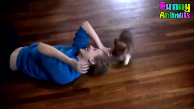 animals attacking people videos || latest funny animals video 2019 || angry animals 2019 || CM WORLD