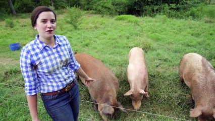 Hey Y'all Episode 1: The Ultimate Vegetable Plate