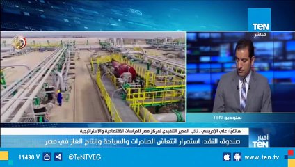 د.علي الإدريسي: شهادة ثقة صندوق النقد الدولي سوف تنعكس على الاقتصاد المصري بثقة المسثتمرين