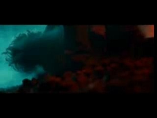 Into the Wild - Bande annonce sous-titrée