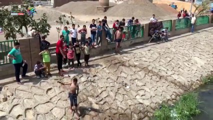 شاهد كيف تحتفل الكلاب بشم النسيم فى مدينة شبين بالمحلة