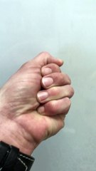 Spiders by the Handful