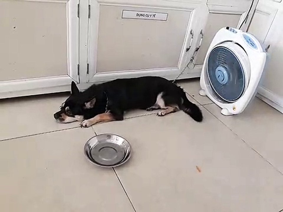 when you are going to school but still want to sleep