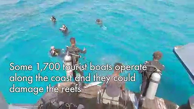 Egypt's rebounding tourism threatens Red Sea corals