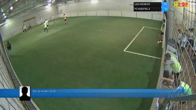But de Andre (14-4) - LES MICKEYS Vs FC AQUITEL 2 - 29/04/19 19:00 - LIGUE 4 - Poitiers Game Parc