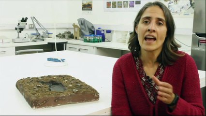 Confirman en Chile huella humana más antigua de América