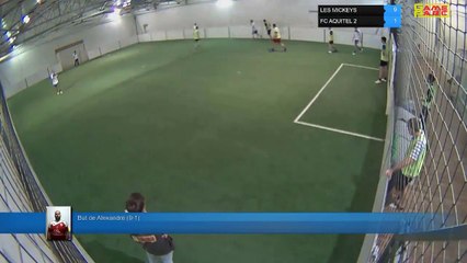 But de Alexandre (9-1) - LES MICKEYS Vs FC AQUITEL 2 - 29/04/19 19:00 - LIGUE 4