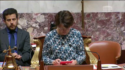 1ère séance : Politique industrielle du Gouvernement : Ni défensive, ni offensive ; Evaluation de la lutte contre la délinquance financière - Lundi 29 avril 2019