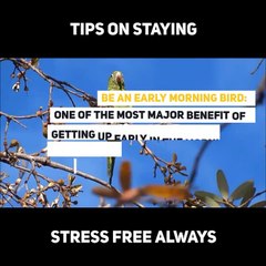 How to remain stress free always