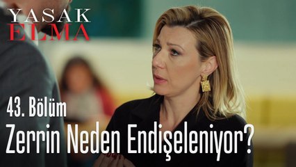 Zerrin'i endişelendiren ne? - Yasak Elma 43. Bölüm
