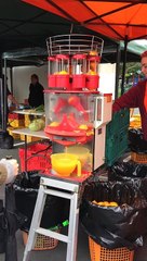 Automatic Orange Juicer