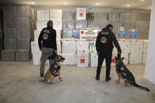 Sarp Sınır Kapısı'nda Gerçekleştirilen Operasyonda 6 Milyon 500 Bin Lira Değerinde Kaçak Sigara Ele Geçirildi