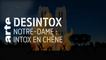 Notre-Dame : une intox en chènes - 29/04/2019 - Désintox - Arte