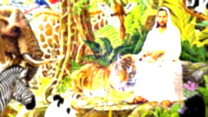 JESUS CONTRA EL MALTRATO, CONSUMO Y SACRIFICIO DE ANIMALES