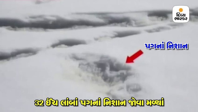 ભારતીય સેનાને હિમાલયમાં પગનાં નિશાન મળ્યાં, હિમમાનવ (યેતિ) હોવાની શક્યતા