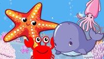 Sea Animal Names. Cartoon For Kids. Belajar Nama Hewan Laut