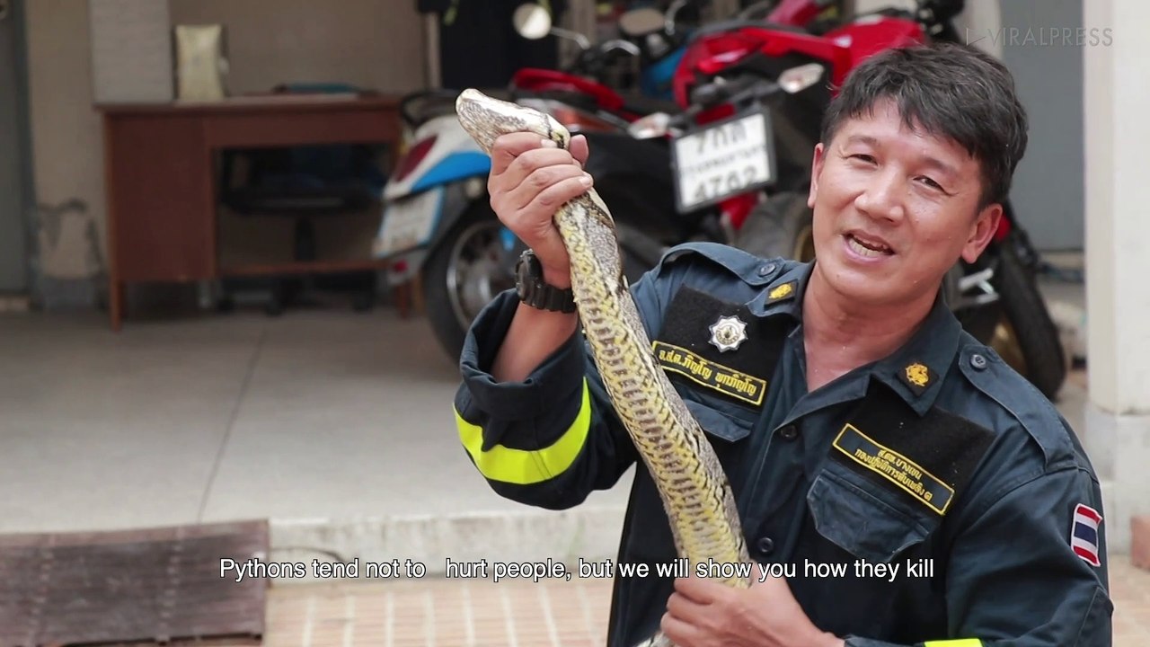 How to escape from a python attack