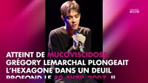 Grégory Lemarchal : Karine Ferri lui rend un tendre hommage 12 ans après sa mort