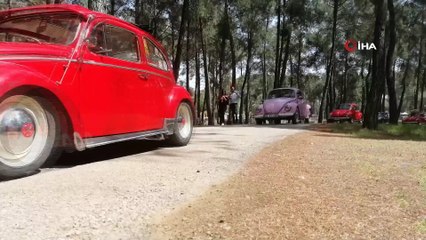 Vosvos araç tutkunları piknikte bir araya geldi