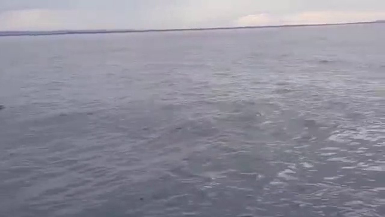 Unbelievable Moments Compilations 2019...!!!