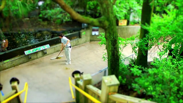 The Florida Aquarium (Tilt Shift)