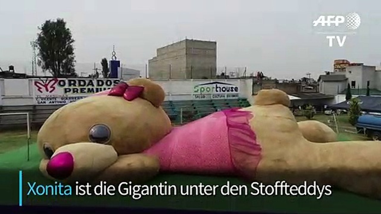 Weltrekord: Mexikaner stopfen Riesen-Teddybär aus