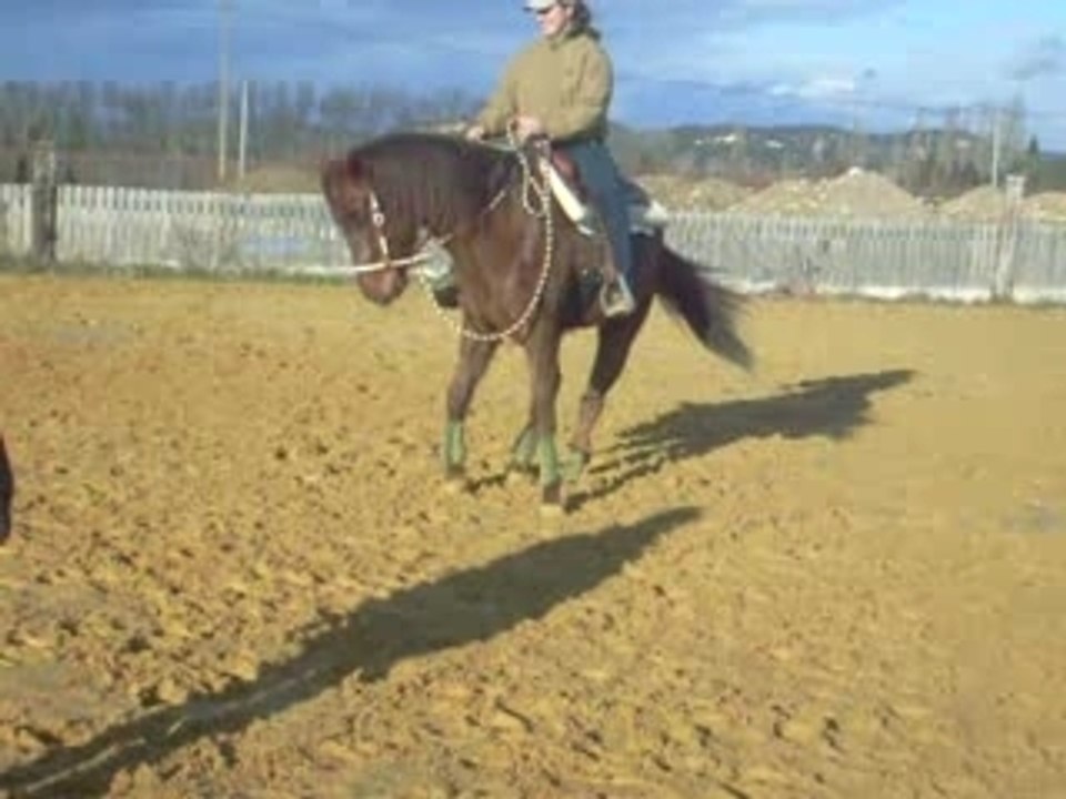 Pepsy !!