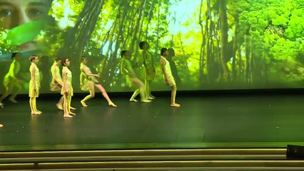 Destruição da natureza é ameaça à humanidade