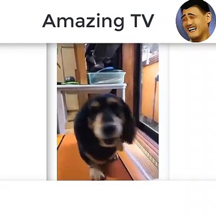 can not stop laughing