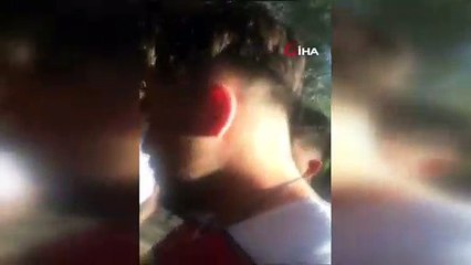 Midilli cinsi atlara bira içirip sosyal medyada paylaşan şahıslar gözaltına alındı