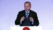 Cumhurbaşkanı Erdoğan: 'Dünyanın diğer pek çok yerindeki terör örgütlerinin sahip oldukları silahların izleri de hep belirli yerlere çıkıyor' - İSTANBUL
