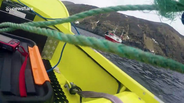 Beluga whale suspected of being 'Russian spy' seen Norwegian waters in mystery harness
