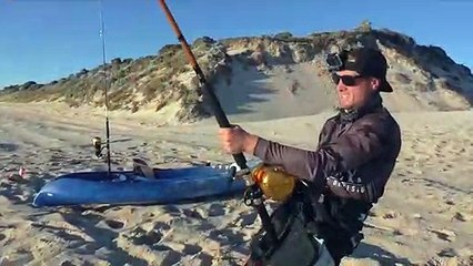 Perth fisherman reels in massive 12ft tiger shark on beach