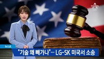 “배터리 기술 훔쳤다”…LG화학, SK이노 美법원에 제소