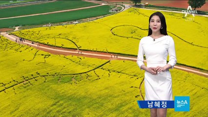 [날씨]봄꽃 아찔한 5월 첫날, 잠잠했던 미세먼지의 습격