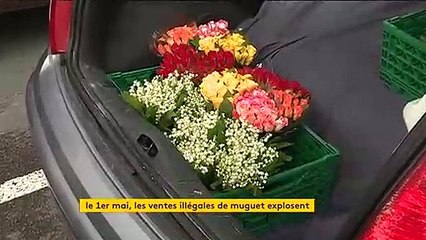 Vente de muguet à la sauvette : les fleuristes contre-attaquent